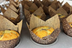 Blueberry muffins